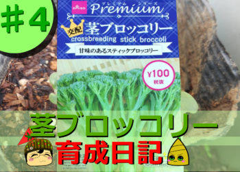 Thumbnail of post image 149